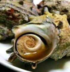 簡単 レンジでサザエの壷焼き レシピ 作り方 By あいおうじ 楽天レシピ 簡単 レンジでサザエの壷焼き レシピ 作り方 By あいおうじ 楽天レシピ